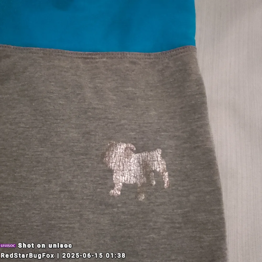 Wide Leg Size Small Petite Aero Stylish Gray Leggings with Blue Waistband - Picture 7 of 8